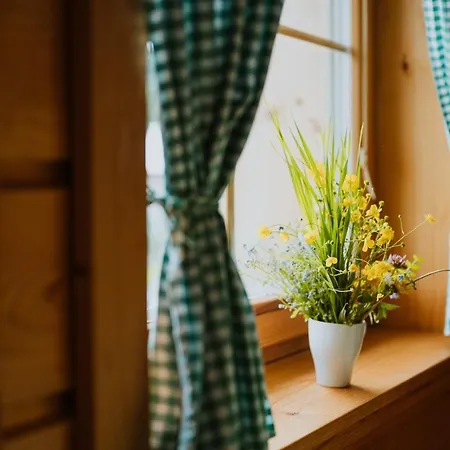 Apartmany Velke Karlovice Vendégház *