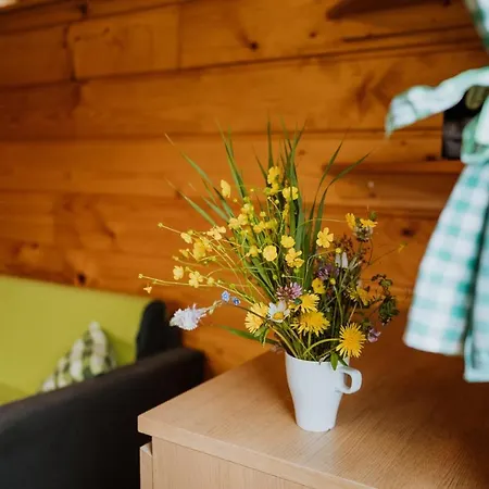 Apartmany Velke Karlovice Velké Karlovice
